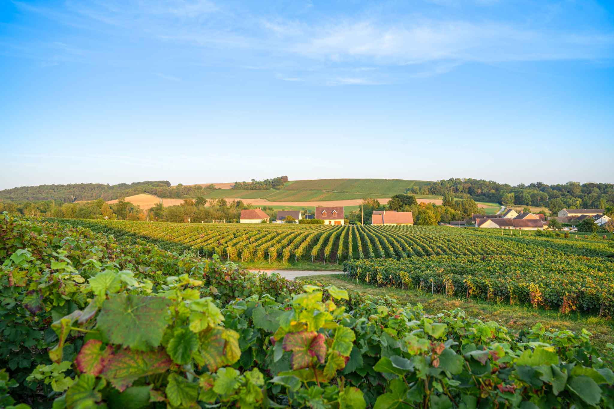 Reims & Épernay